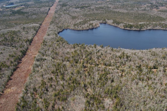 Immobilien Kanada Freeman Lake April 2013 (15)